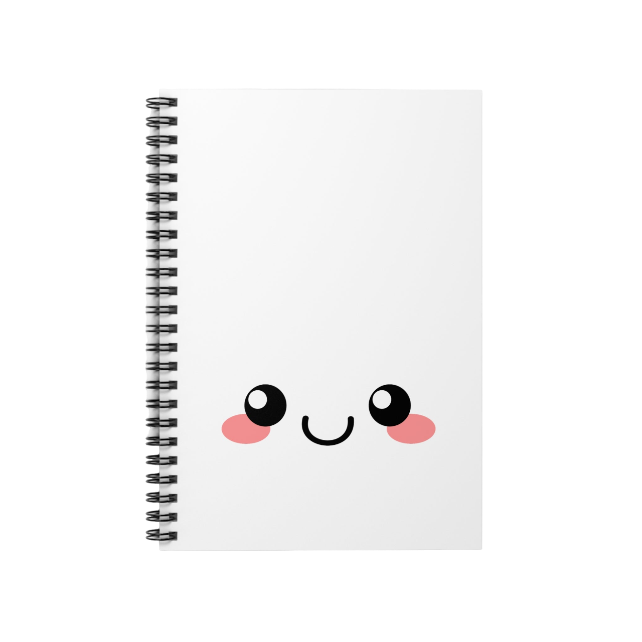 Paige Notebook